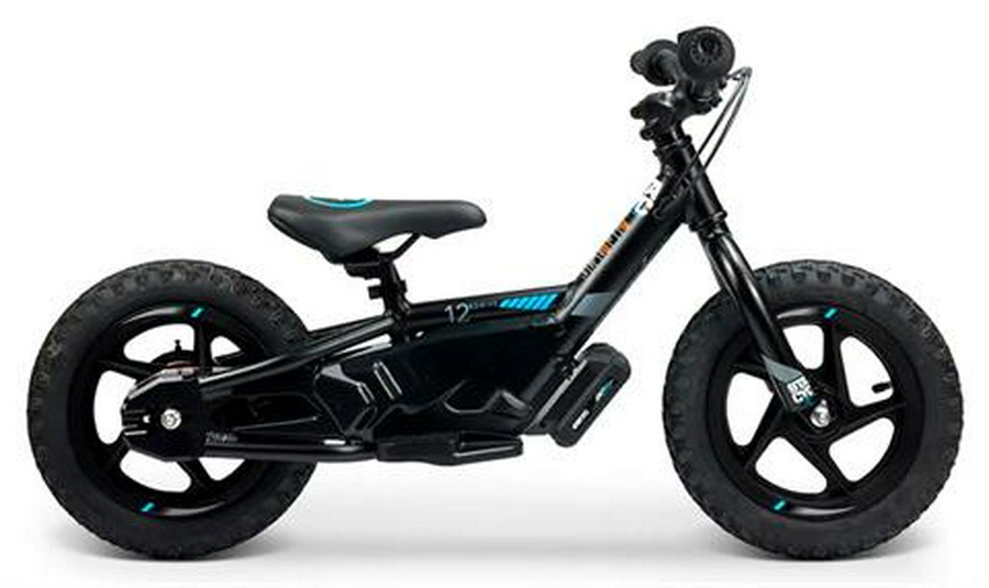 2025 Stacyc 12eDRIVE