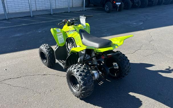 2026 Yamaha Raptor 110