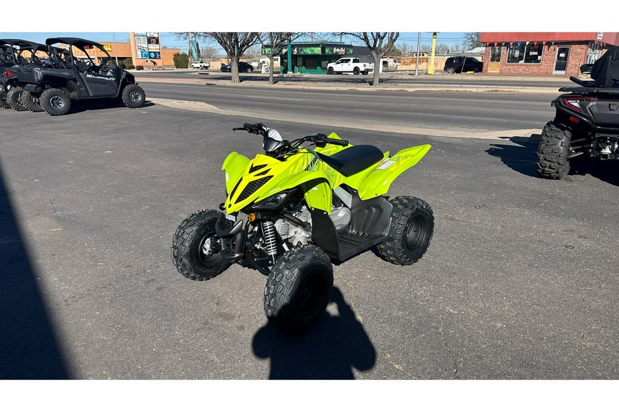 2026 Yamaha Raptor 110