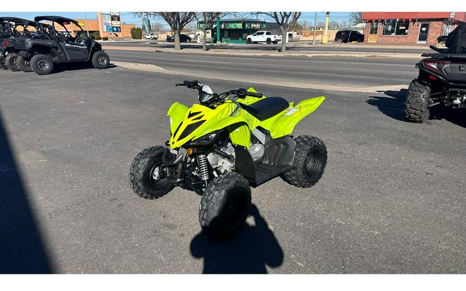 2026 Yamaha Raptor 110