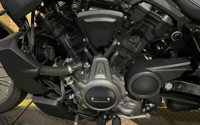 2023 Harley-Davidson Nightster Special