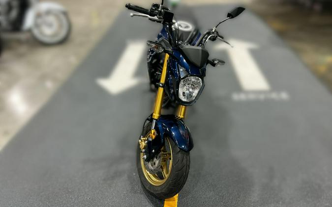 2023 Kawasaki Z 125