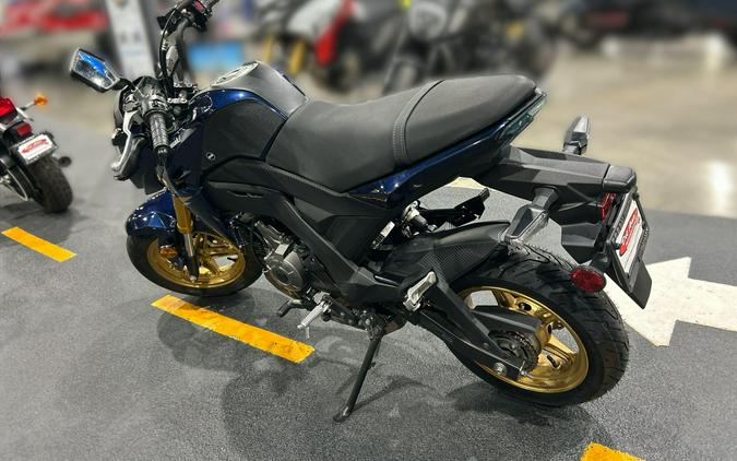 2023 Kawasaki Z 125