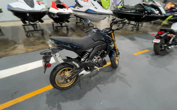 2023 Kawasaki Z 125