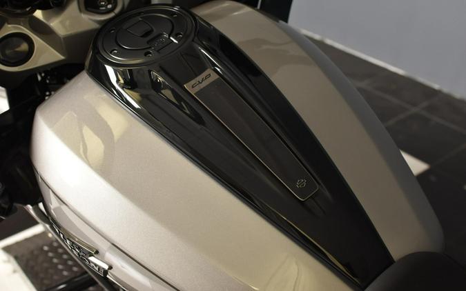 2023 Harley-Davidson CVO Road Glide Dark Platinum w/Pinstripe FLTRXSE