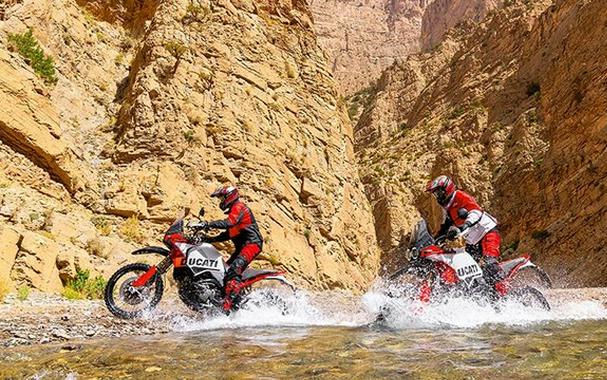 2026 Ducati DesertX Rally
