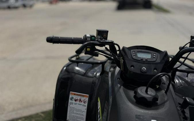 2022 Kawasaki Brute Force® 300
