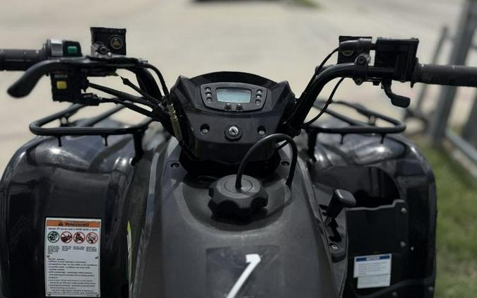 2022 Kawasaki Brute Force® 300
