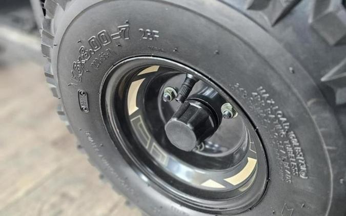 2026 Denago Powersports E-Hawk 6