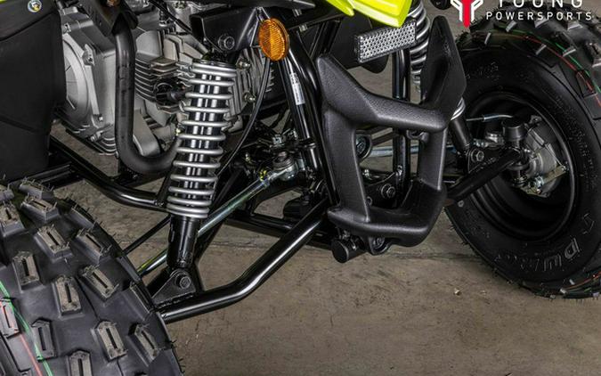 2026 Yamaha Raptor 110