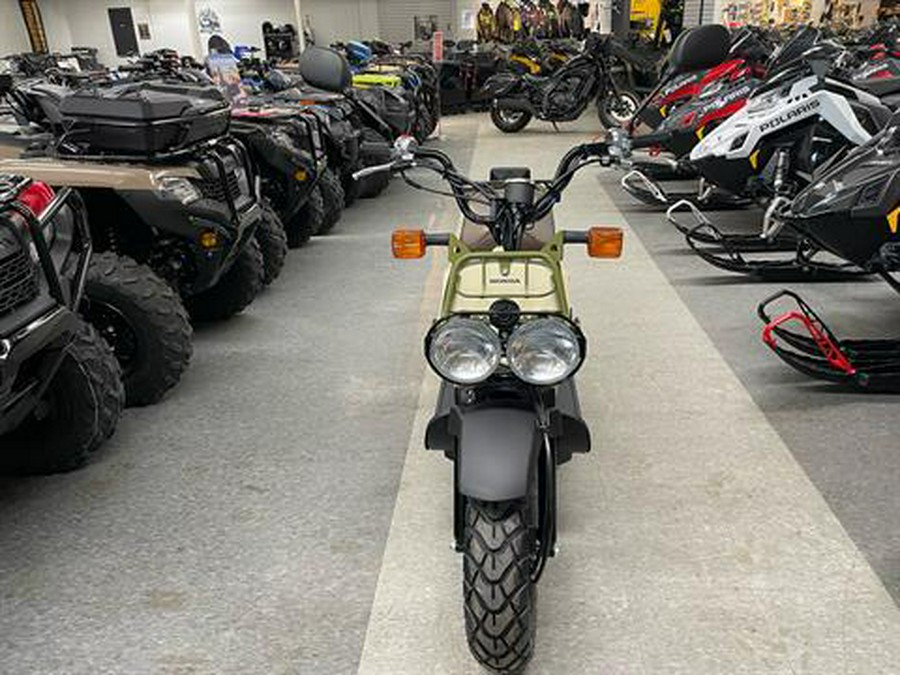 2024 Honda Ruckus