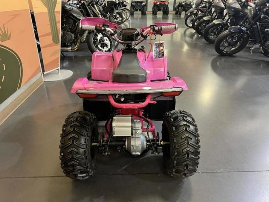 2026 Denago Powersports E-Hawk 6