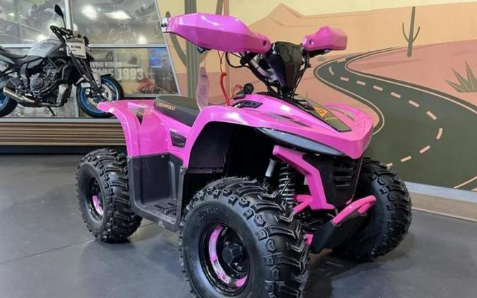 2026 Denago Powersports E-Hawk 6