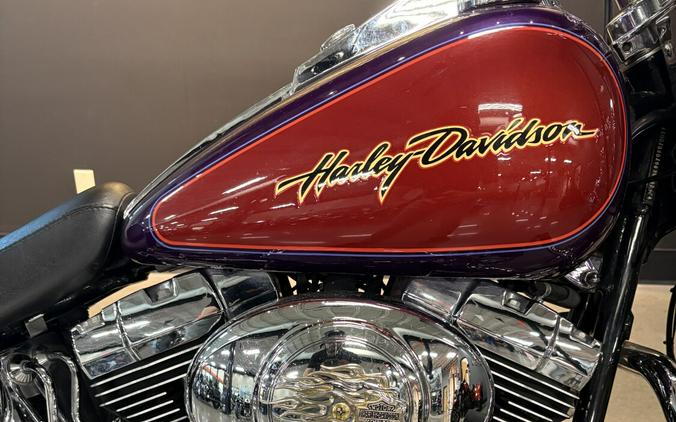 2006 Harley-Davidson® Heritage Softail® Classic Black & Purple Marble
