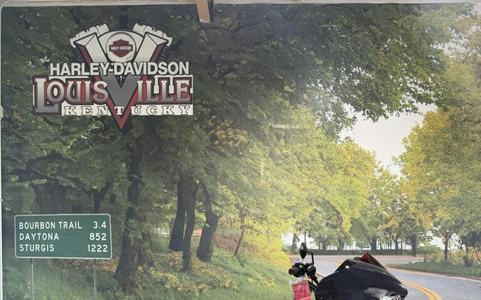2026 Harley-Davidson CVO Road Glide ST