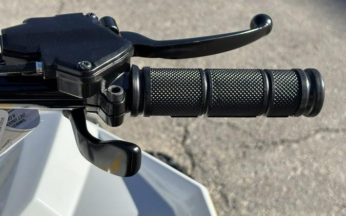 2026 Can-Am® Renegade 110 EFI