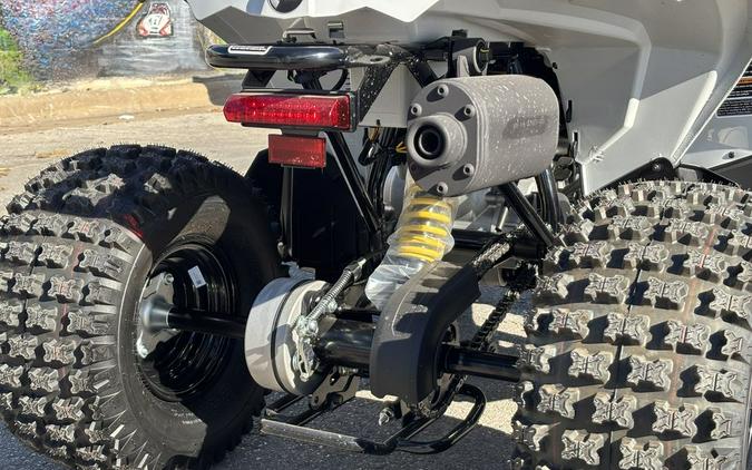 2026 Can-Am® Renegade 110 EFI