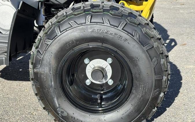 2026 Can-Am® Renegade 110 EFI