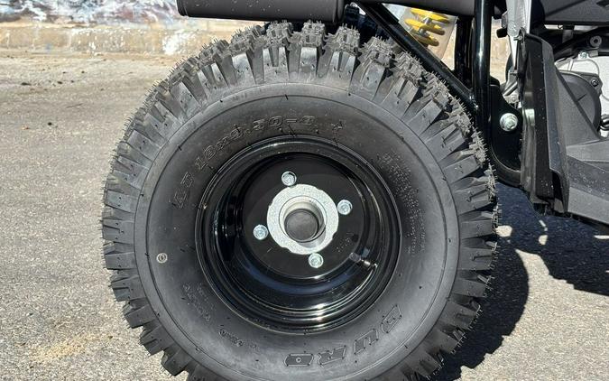 2026 Can-Am® Renegade 110 EFI