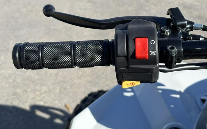 2026 Can-Am® Renegade 110 EFI