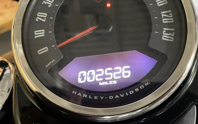 2021 Harley-Davidson Heritage Classic 114