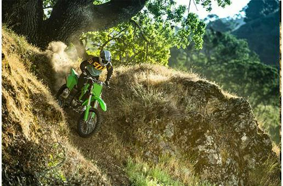 2024 Kawasaki Klx 300r