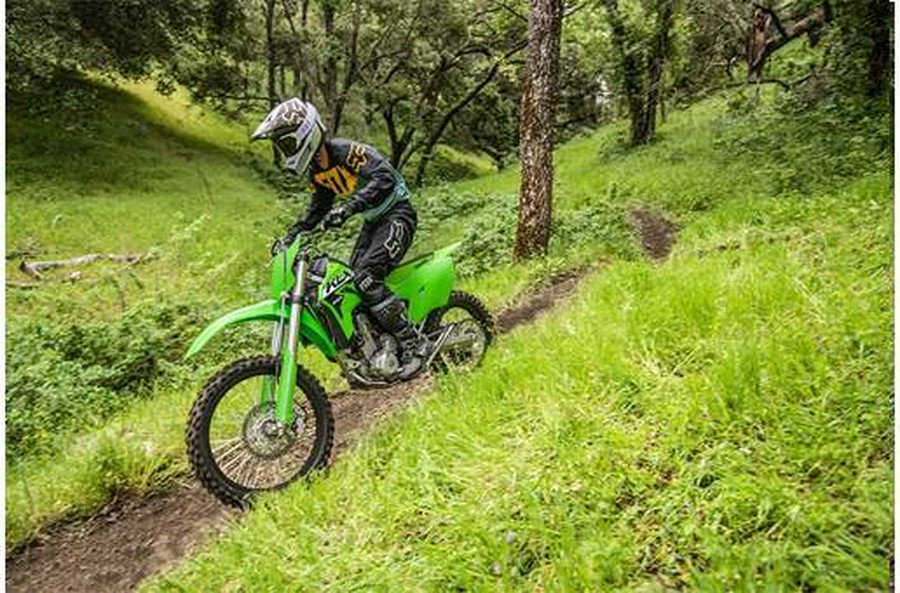 2024 Kawasaki Klx 300r