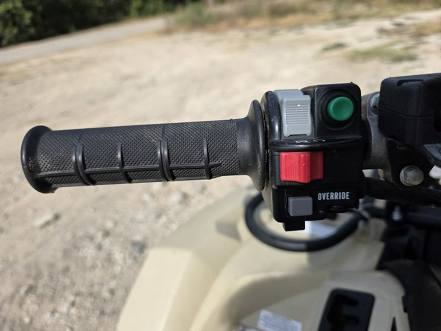 2024 Yamaha Kodiak 450 EPS SE