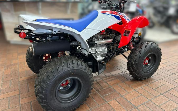 2026 Honda TRX250X