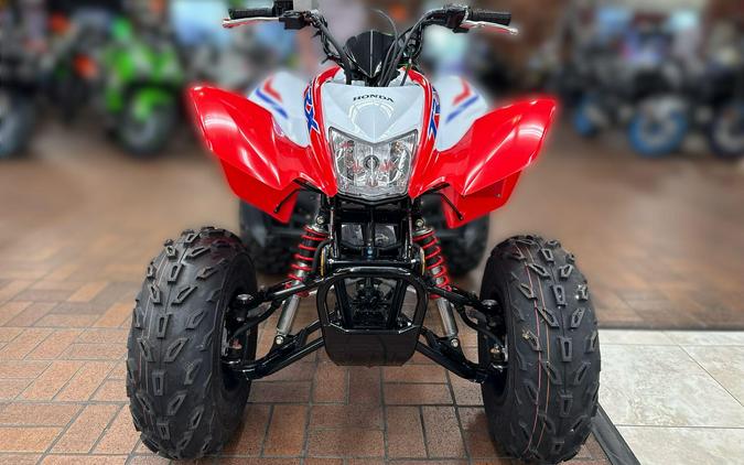 2026 Honda TRX250X