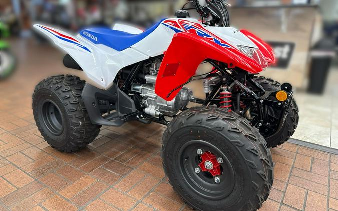 2026 Honda TRX250X