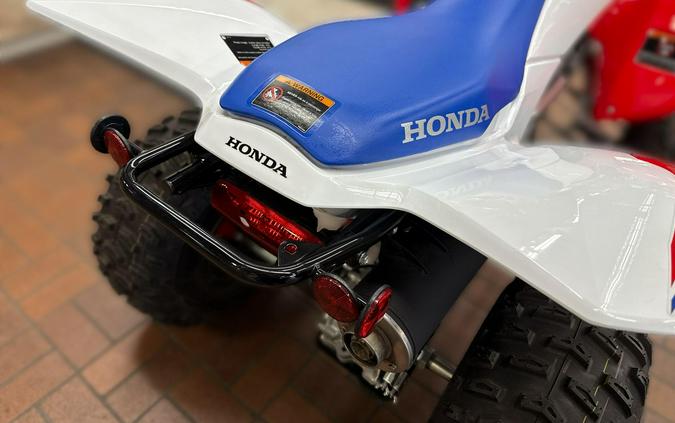 2026 Honda TRX250X