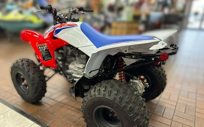 2026 Honda TRX250X