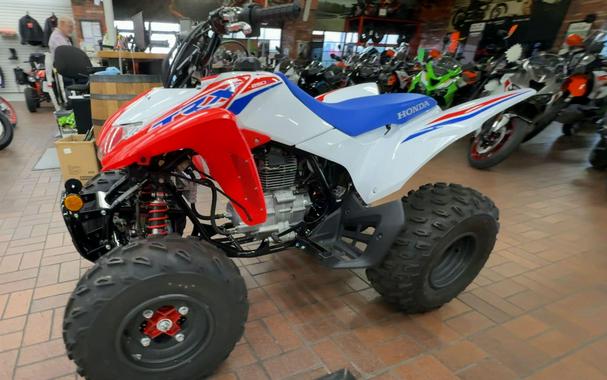 2026 Honda TRX250X
