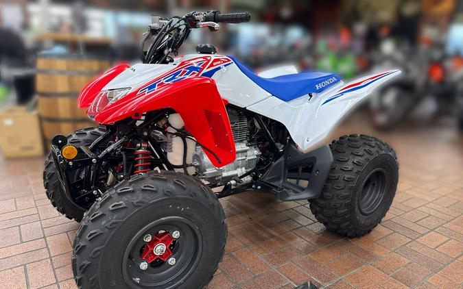2026 Honda TRX250X