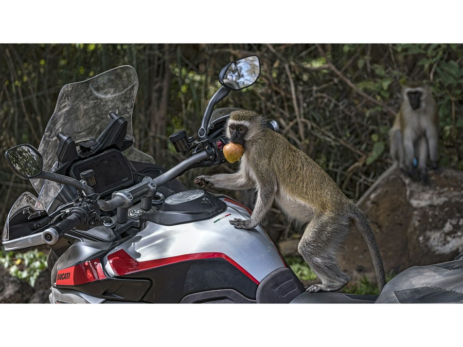 2025 Ducati Multistrada V4 Rally Adventure Travel & Radar