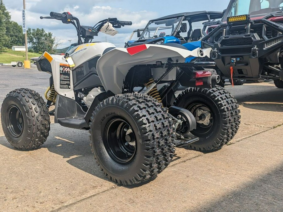 2024 Can-Am® Renegade 110 EFI