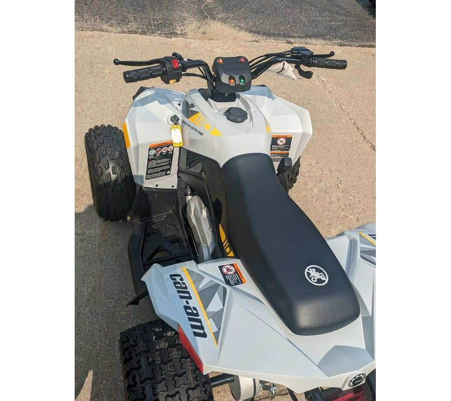 2024 Can-Am® Renegade 110 EFI