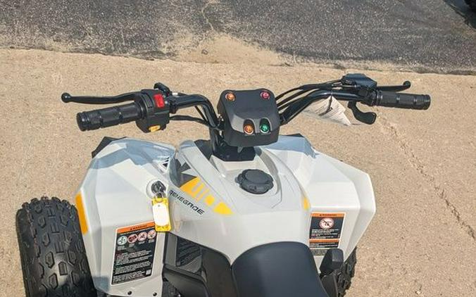 2024 Can-Am® Renegade 110 EFI