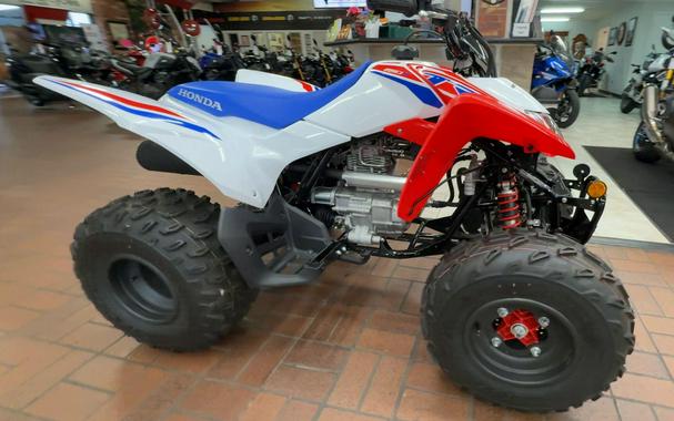 2026 Honda TRX250X