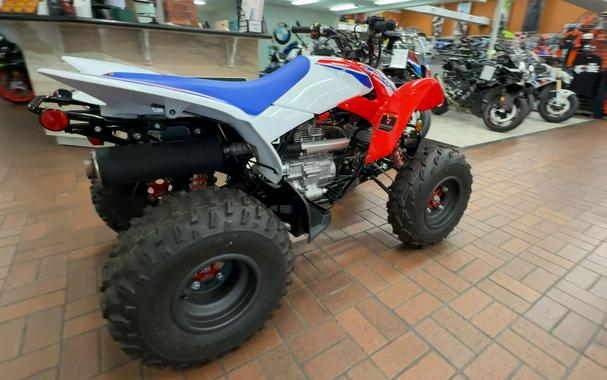 2026 Honda TRX250X