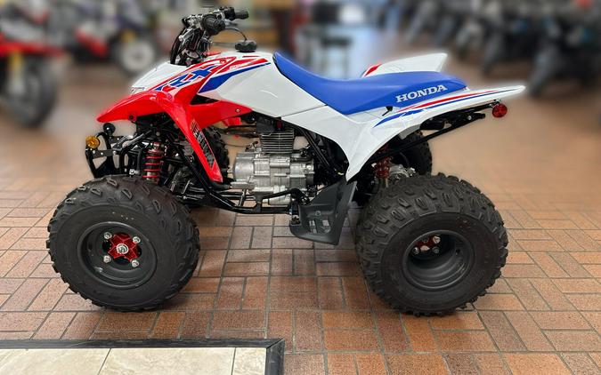 2026 Honda TRX250X