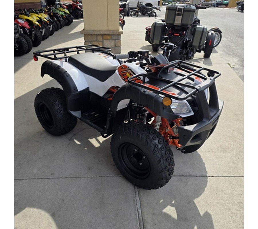 2026 Kayo Bull 150 EFI