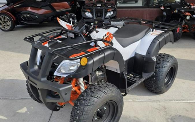 2026 Kayo Bull 150 EFI