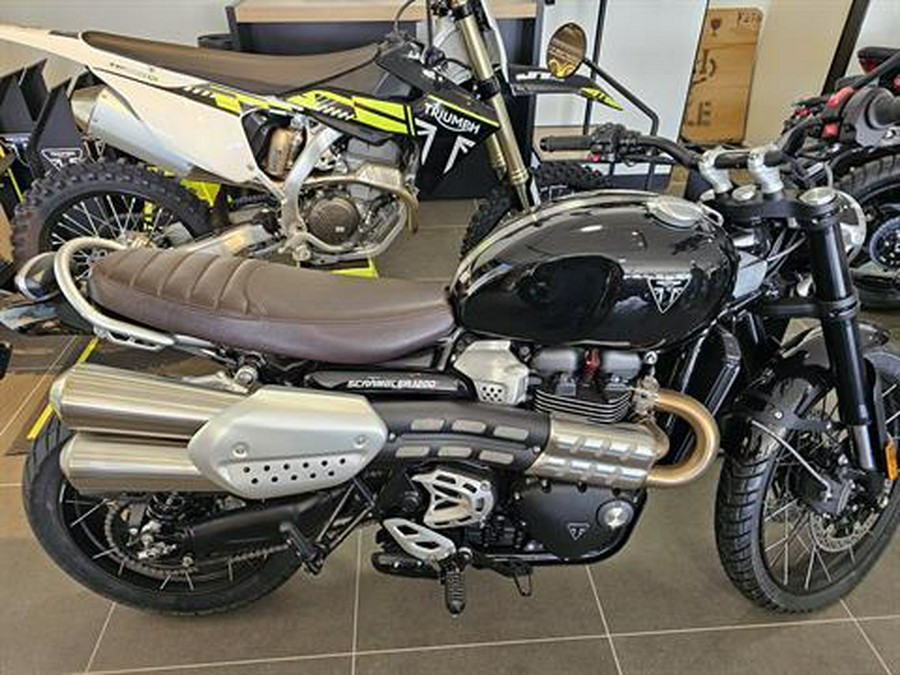 2024 Triumph Scrambler 1200 X