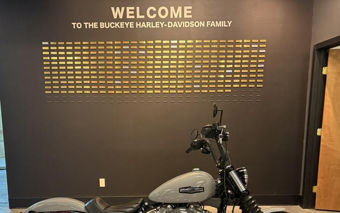 2025 Harley-Davidson® Street Bob® Billiard Gray w/Cast Wheels