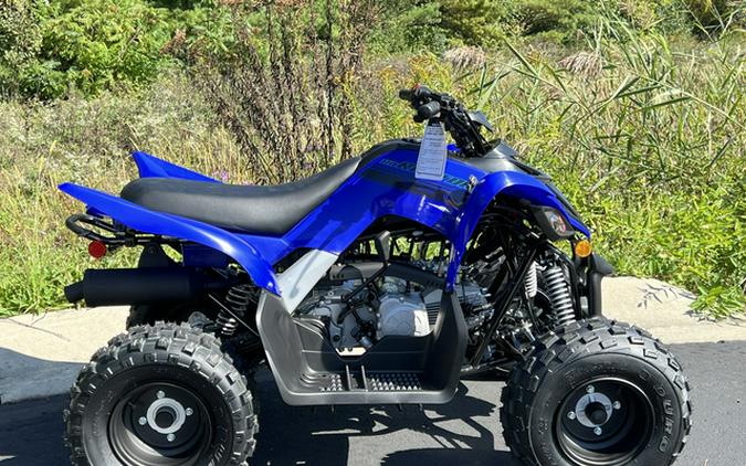 2025 Yamaha Raptor 110 (YFM01RYXSG)