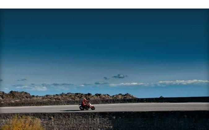 2013 Ducati Monster 1100 EVO 20th Anniversary