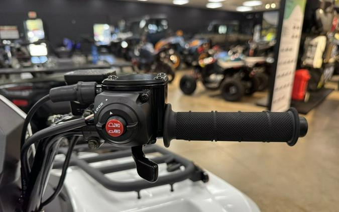 2025 Kawasaki Brute Force 450 4x4