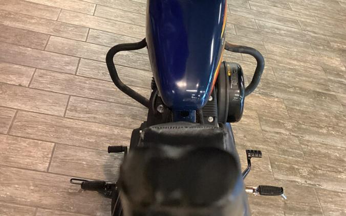 2020 Harley-Davidson Iron 1200 BILLIARD BLUE